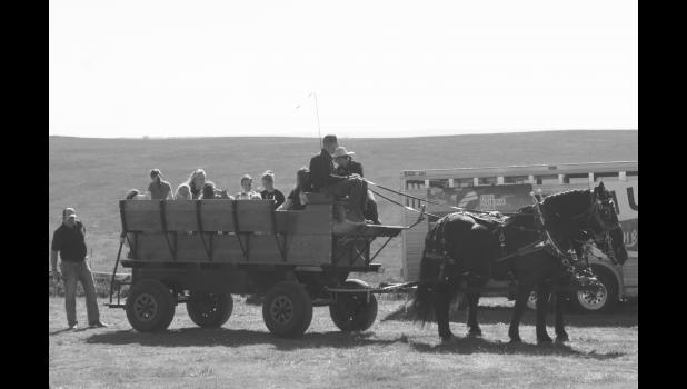 Horse drawn wagon rides were available at the festival.